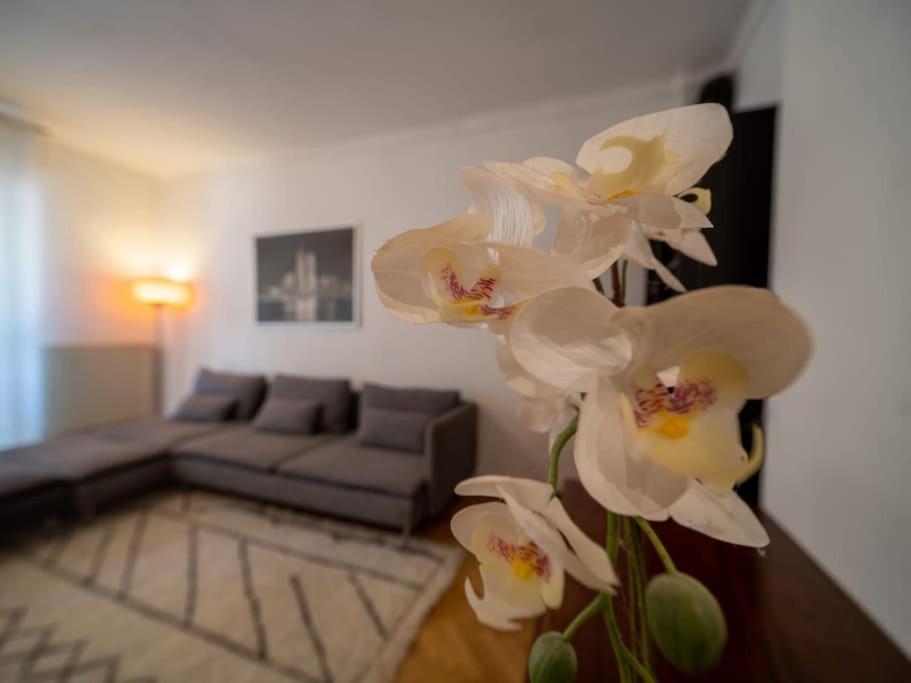 Appartement Climatise Tout Equipe A Cote Du Stade Velodrome 마르세유 외부 사진